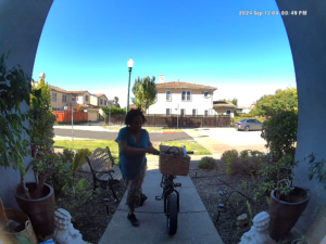 Example Porch pirate